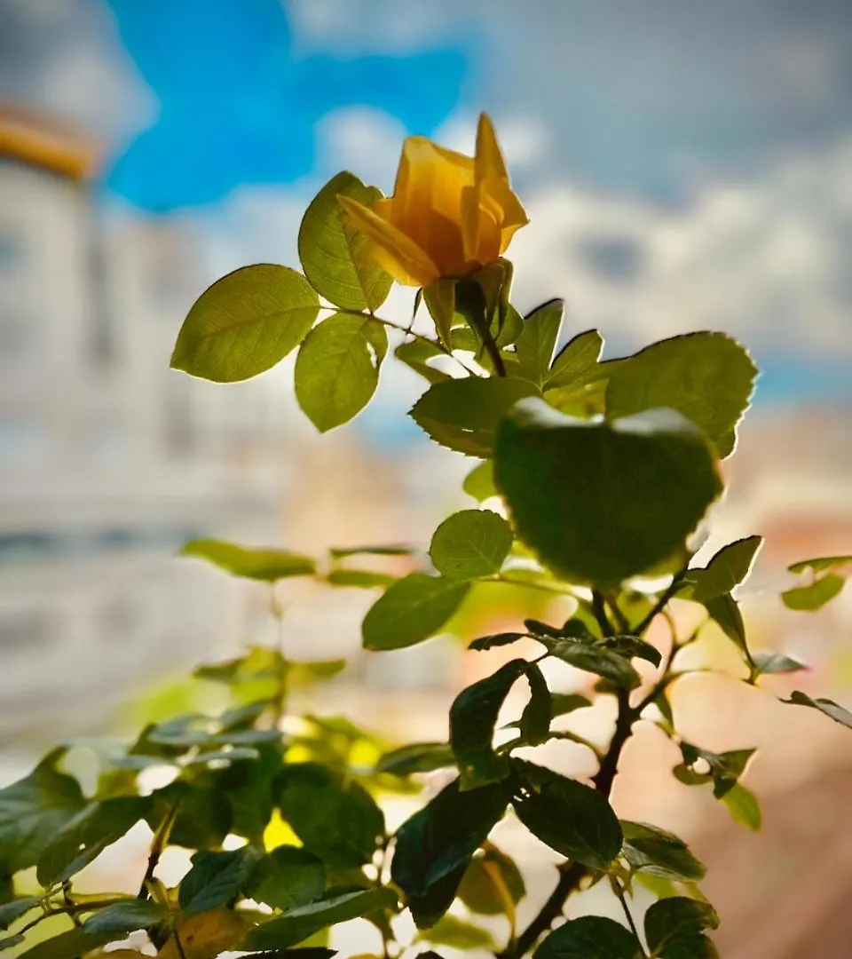La Piccola Bellezza Apartment Tirana
